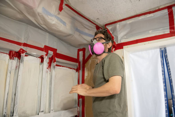Best Emergency Mold Remediation  in Waite Park, MN
