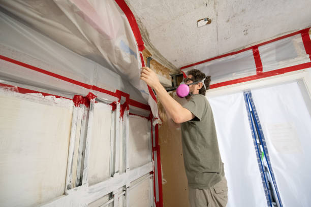 Mold Remediation for Rental Properties in Waite Park, MN
