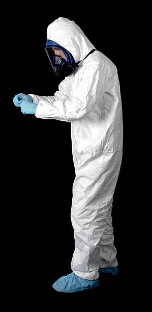 Best Mold Damage Restoration  in Waite Park, MN